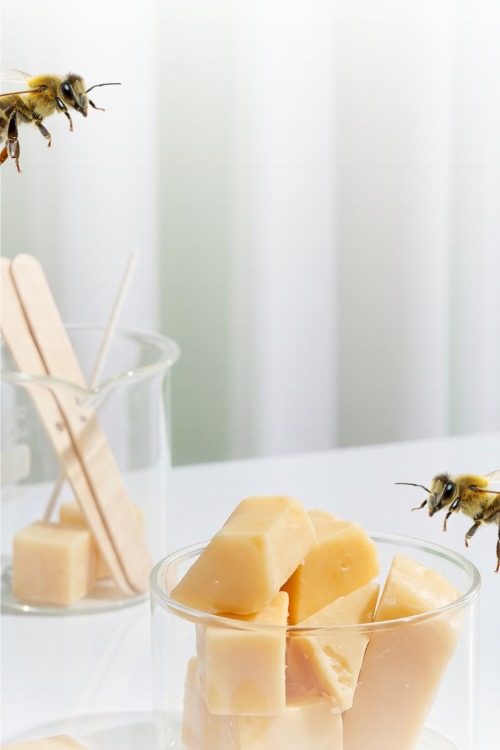 Natural beeswax chunks with honeybees, highlighting the clean-burning beeswax used in Living Good Candle Co. candles.