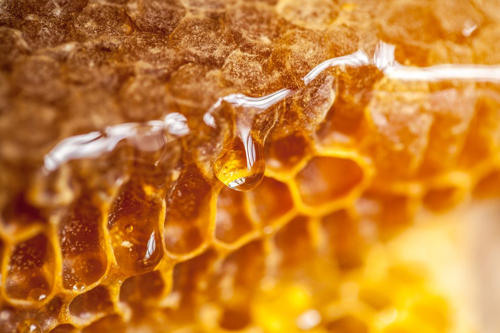 Why Are More People Choosing Beeswax Candles for Their Homes?