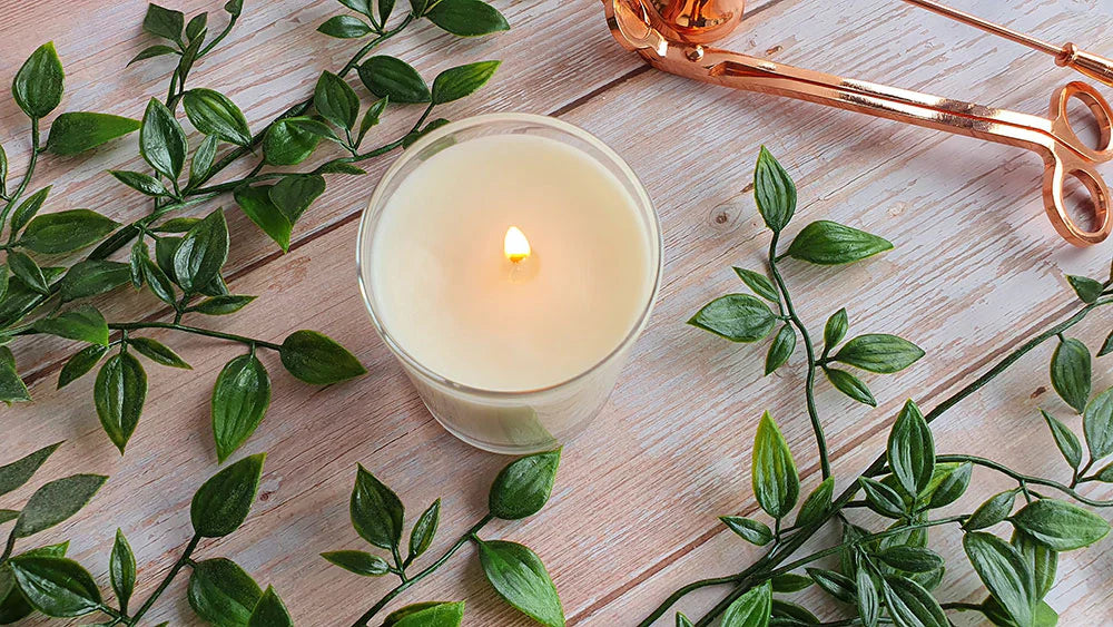 Beeswax, Coconut Oil, and Plant-Based Oils: A Thoughtful Mother’s Day Gift That Feels Truly Clean