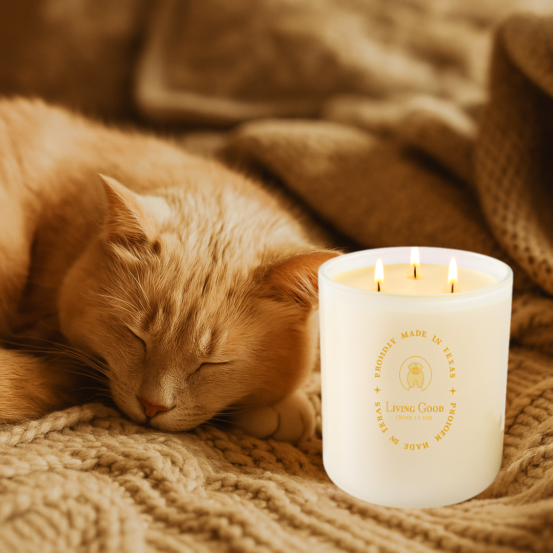 A cat sleeps peacefully on a chunky knit blanket beside a lit Living Good Candle Co. beeswax candle in a frosted white glass jar. The cozy scene is warmly lit, evoking a sense of calm and comfort.