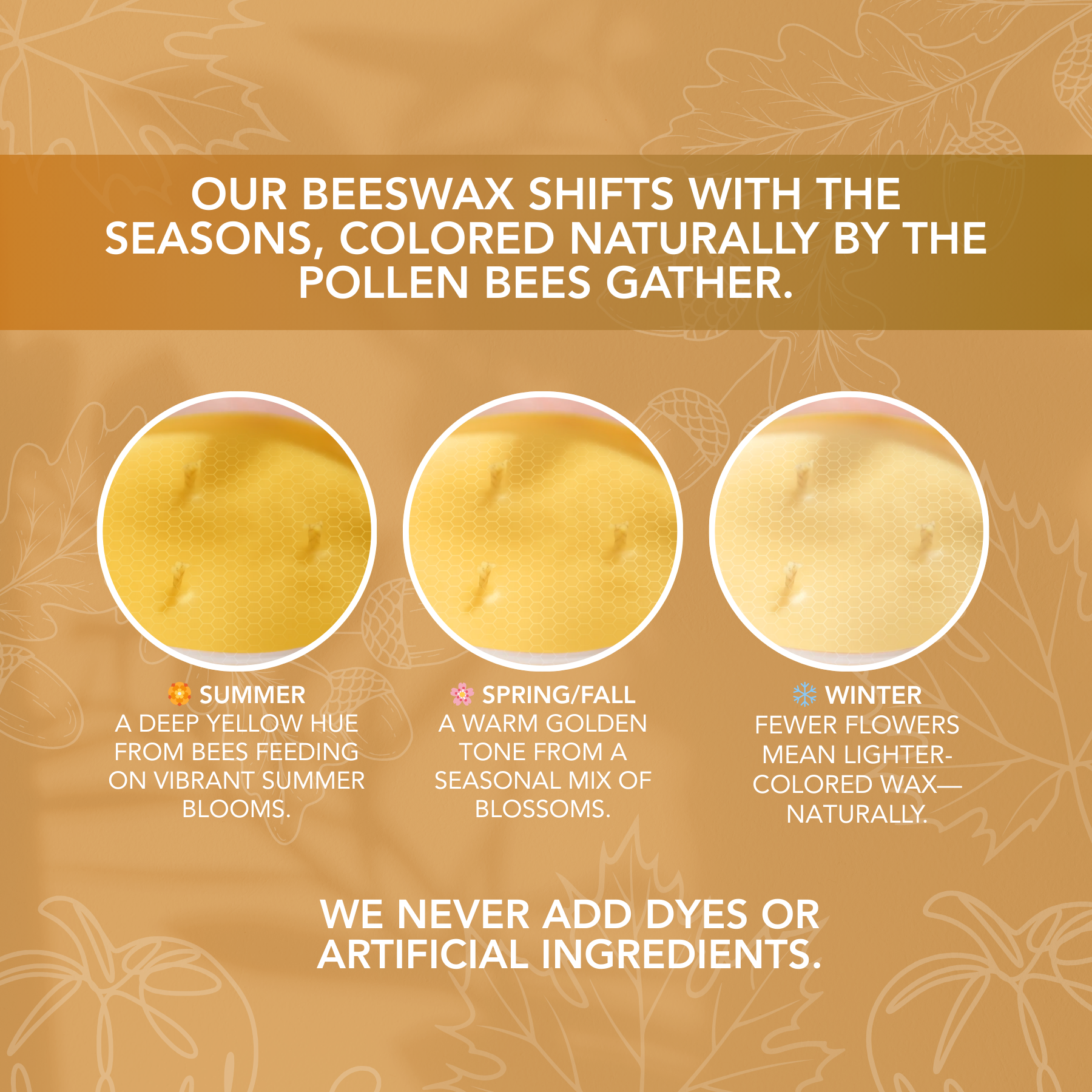 TOASTY PUMPKIN BRULEE