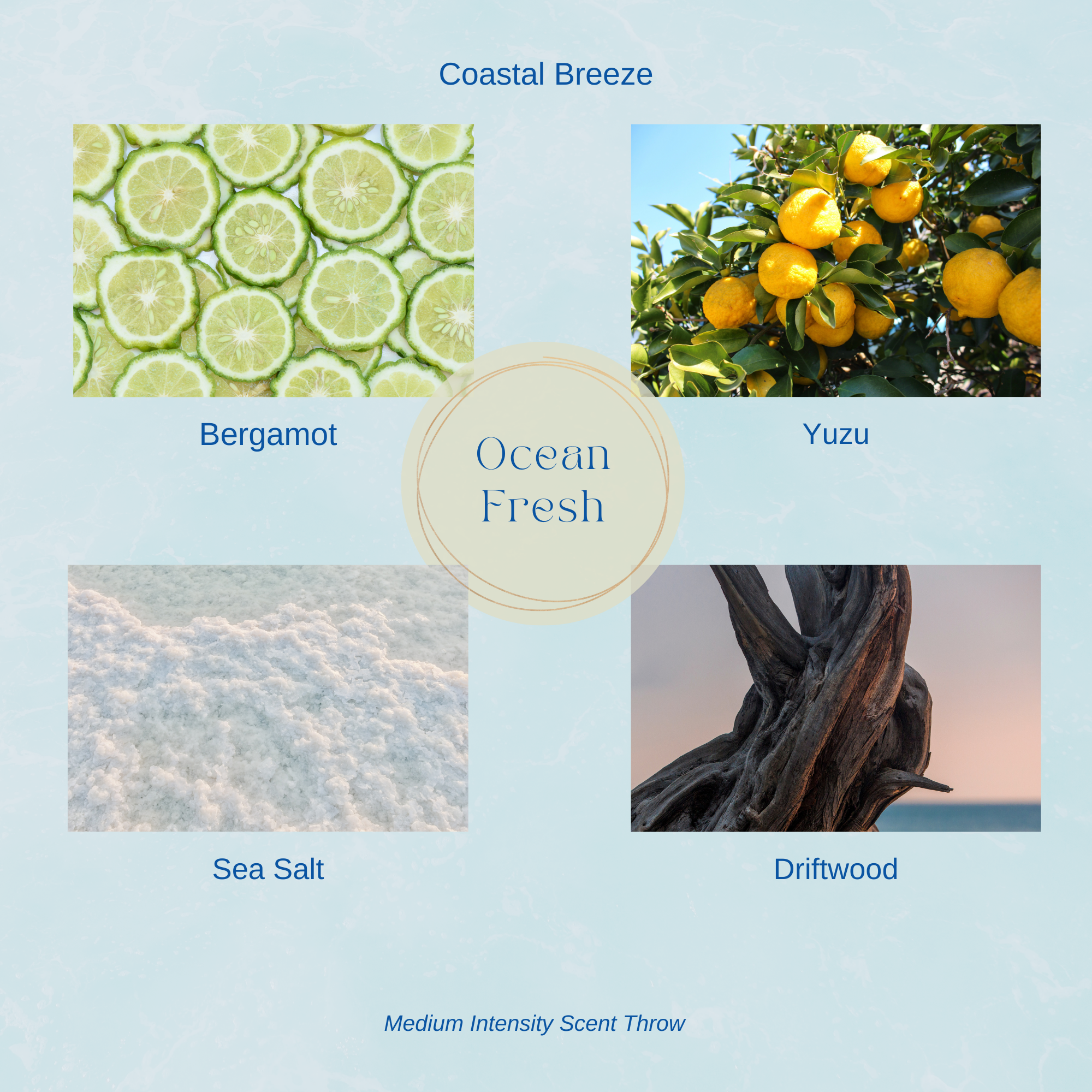 Mix-and-Match 15 oz Candle Bundle