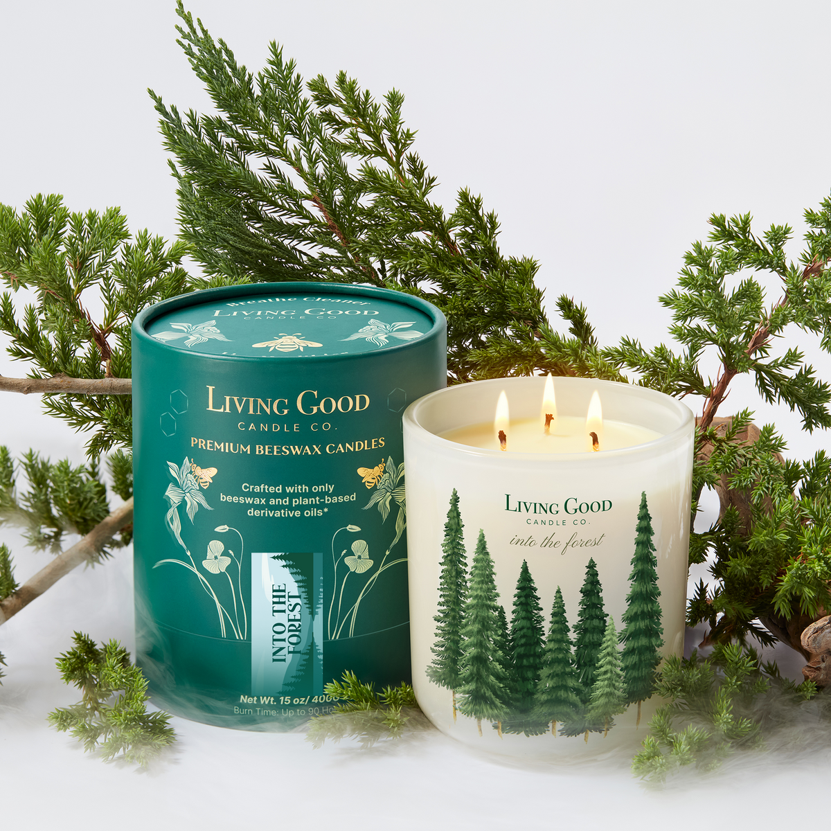 Into the Forest 15 oz beeswax candle with three wicks and Living Good Candle Co. packaging surrounded by evergreen branches.