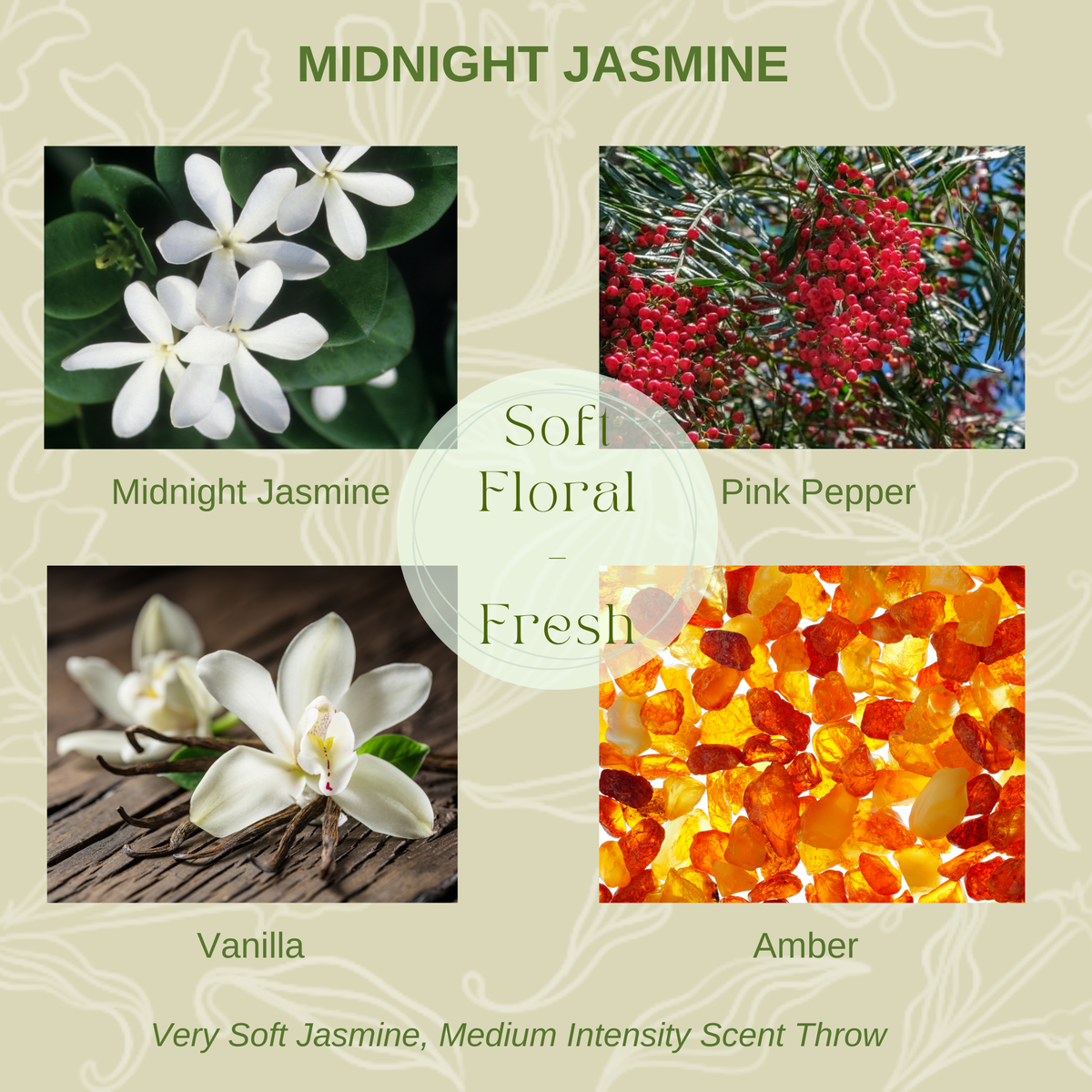 Midnight Jasmine scent notes graphic featuring midnight jasmine, pink pepper, vanilla, and amber with a soft floral fragrance profile.