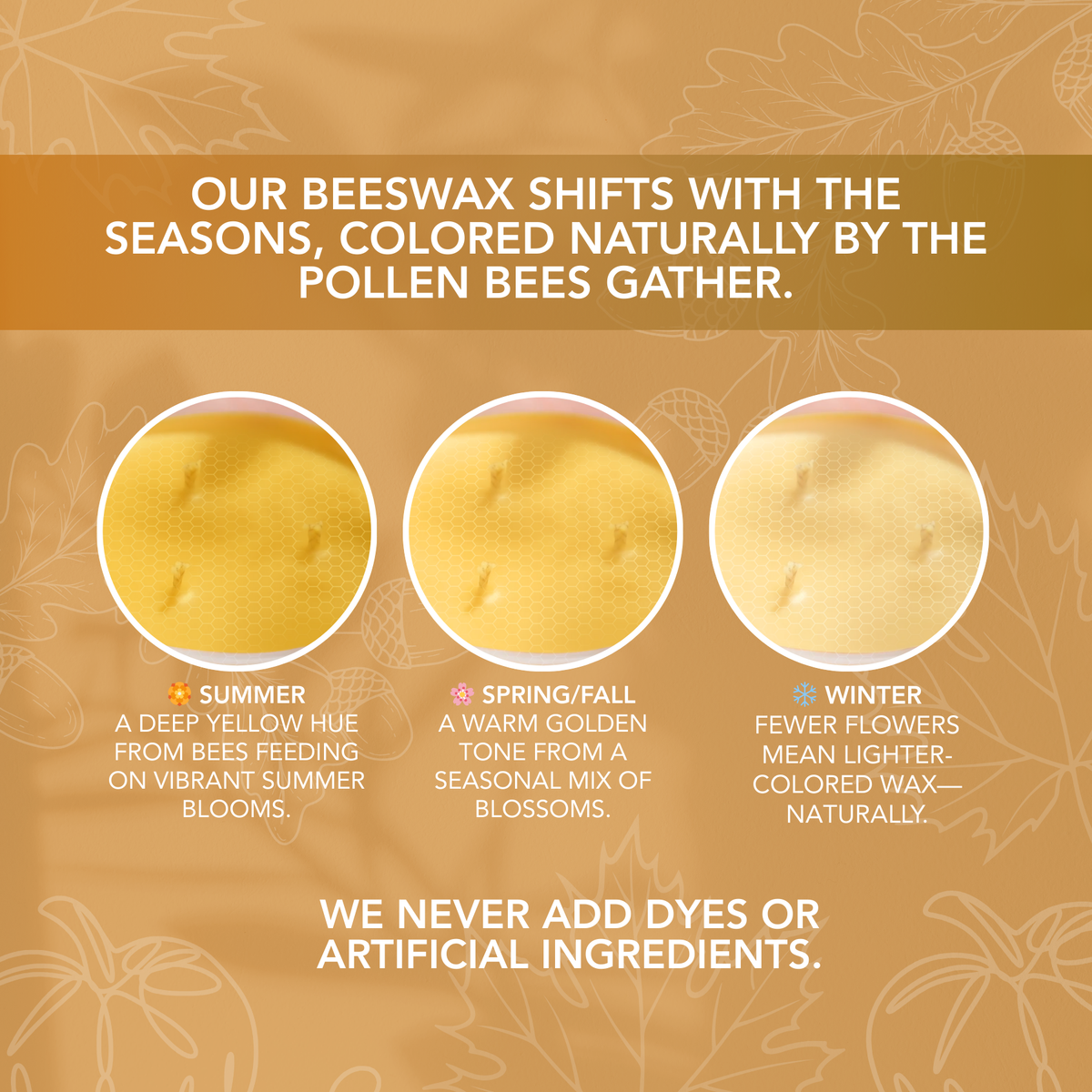 Natural beeswax color variations from summer through winter, showing seasonal differences with no added dyes or artificial ingredients.