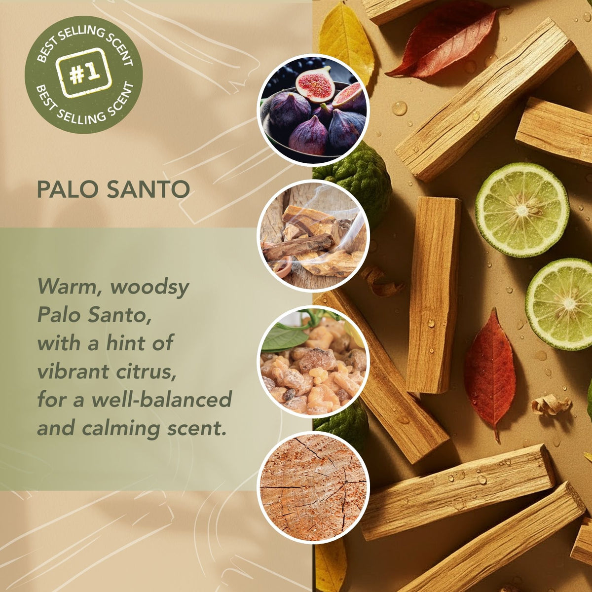 Palo Santo candle scent profile featuring warm woody notes with bright citrus for a balanced, calming fragrance.