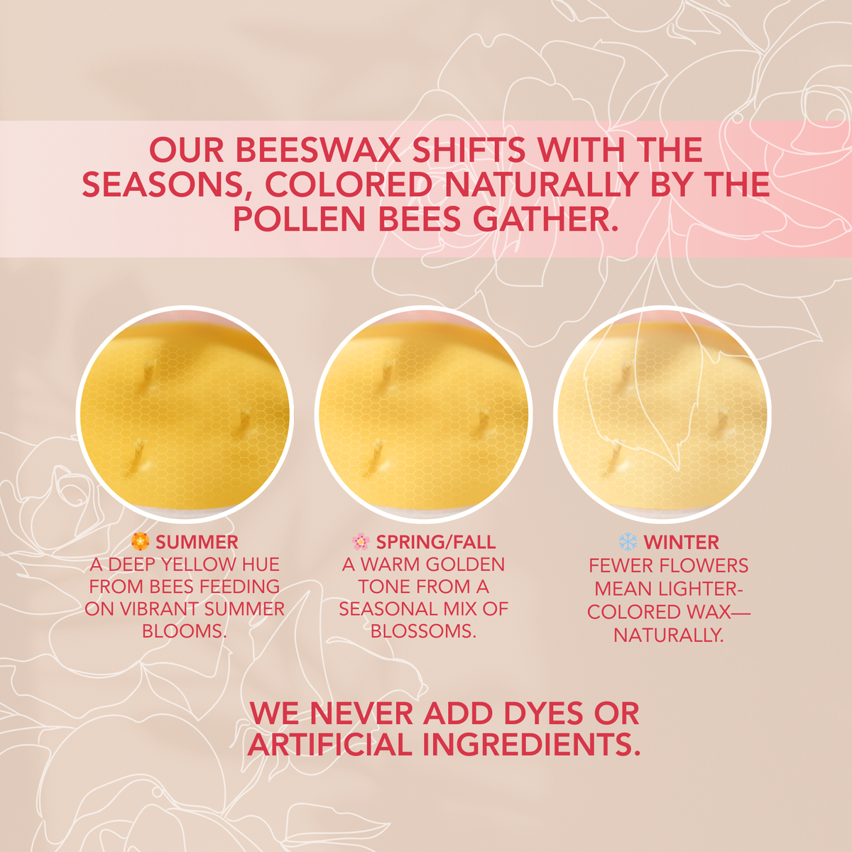 Infographic showing how beeswax candle color naturally changes with seasons and pollen