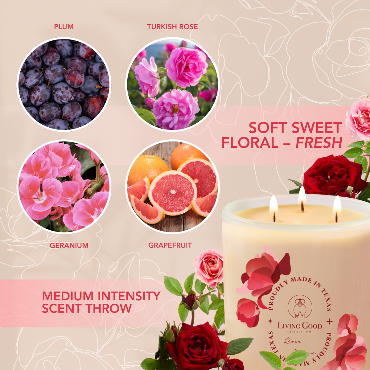 Rose Gulora candle scent profile featuring rose, grapefruit, plum, and geranium with a three-wick candle