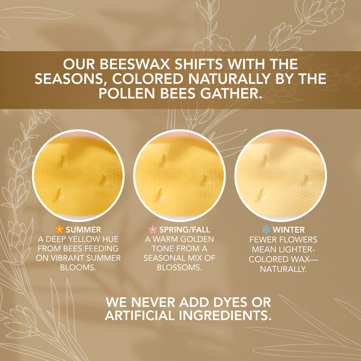 Infographic showing natural seasonal color variations in beeswax based on pollen gathered by bees