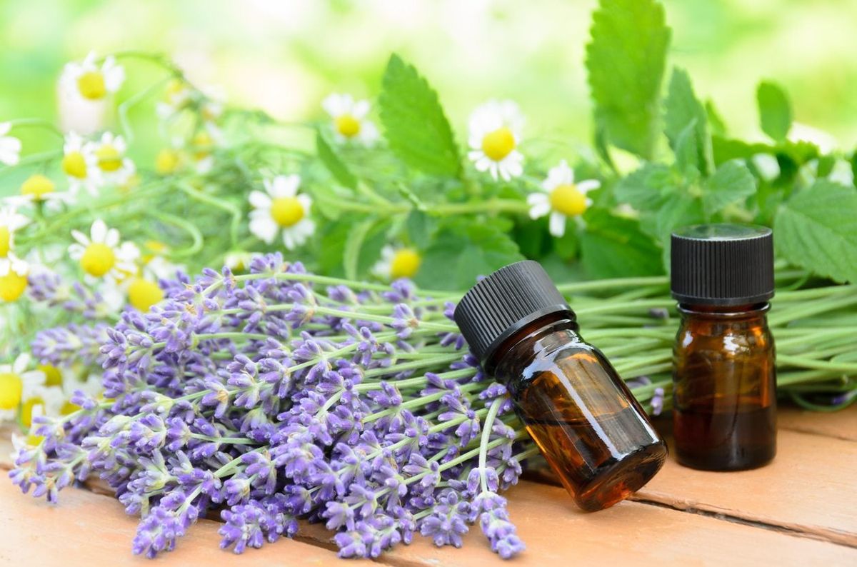 Amber glass bottles of essential oils surrounded by fresh lavender, chamomile flowers, and green herbs on a wooden surface with a soft, natural background.