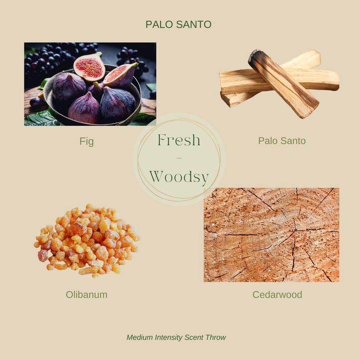PALO SANTO