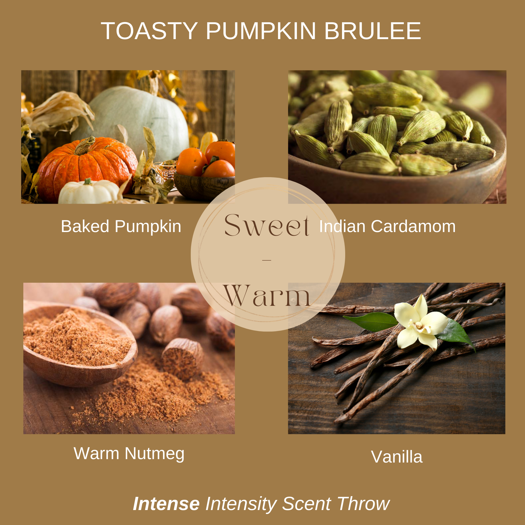 TOASTY PUMPKIN BRULEE