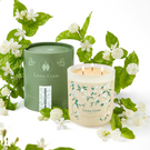 Candle 1
