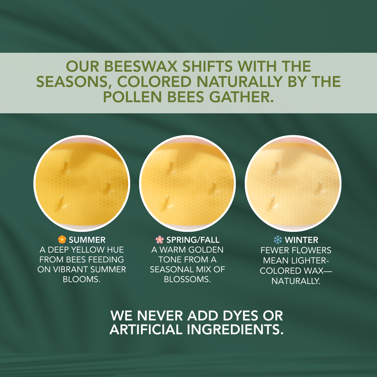 Living Good Candle Co. beeswax color guide showing natural seasonal variations from summer through winter without added dyes.