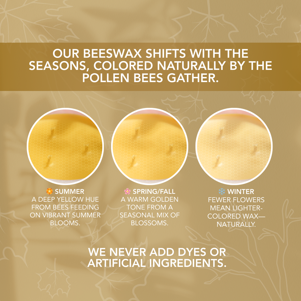 Infographic showing natural seasonal color variations in beeswax based on pollen gathered by bees