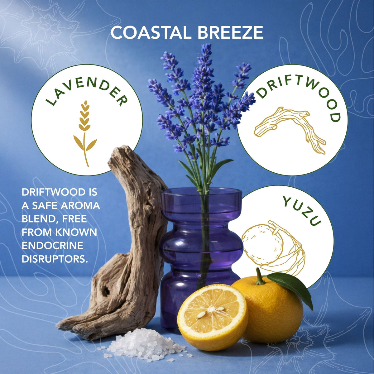 Coastal Breeze candle scent notes featuring lavender, driftwood, and yuzu in a fresh coastal fragrance blend.