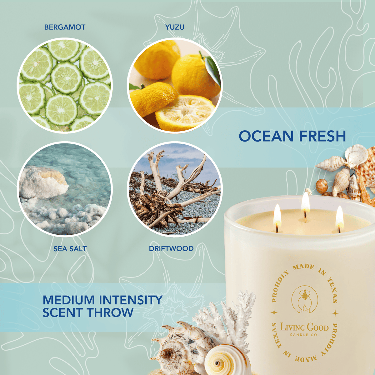 Coastal Breeze candle scent profile featuring sea salt, yuzu, citrus, and driftwood notes