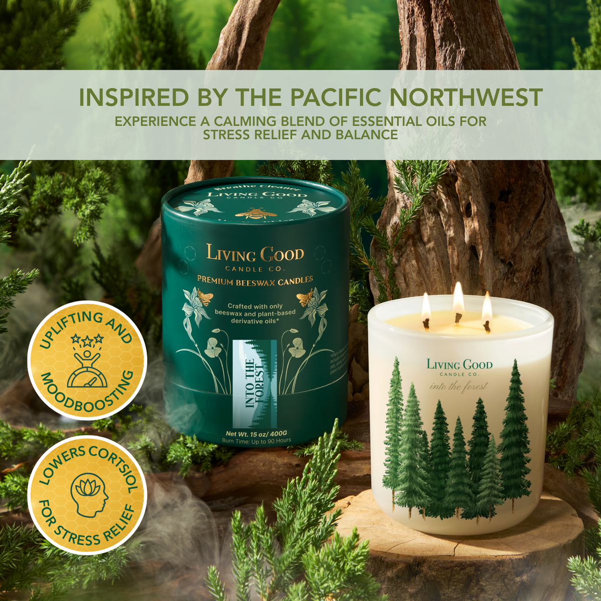 Into the Forest beeswax candle inspired by the Pacific Northwest, featuring a fresh forest scent with pine and eucalyptus.