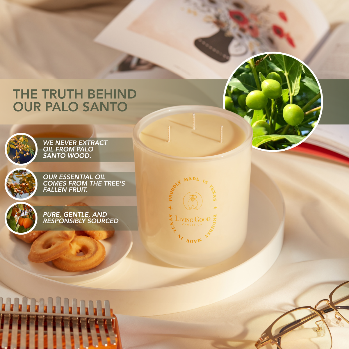 Palo Santo beeswax candle with imagery explaining that its palo santo essential oil is sourced from fallen fruit rather than wood.