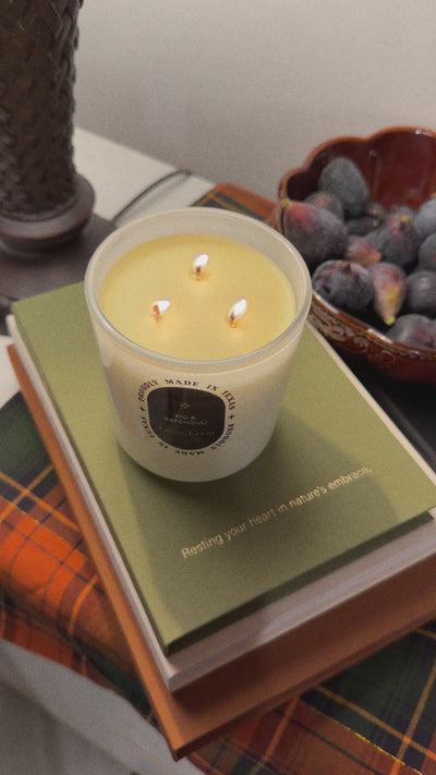 Lit Fig & Patchouli 15oz three-wick beeswax candle on a green book beside a bowl of fresh figs and a plaid blanket