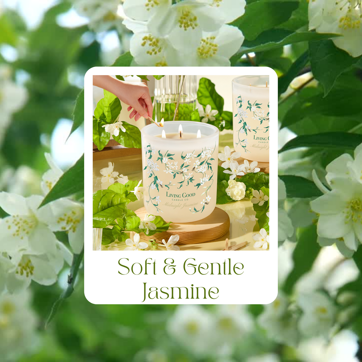 Midnight Jasmine beeswax candle displayed in a soft floral frame with the phrase soft and gentle jasmine.