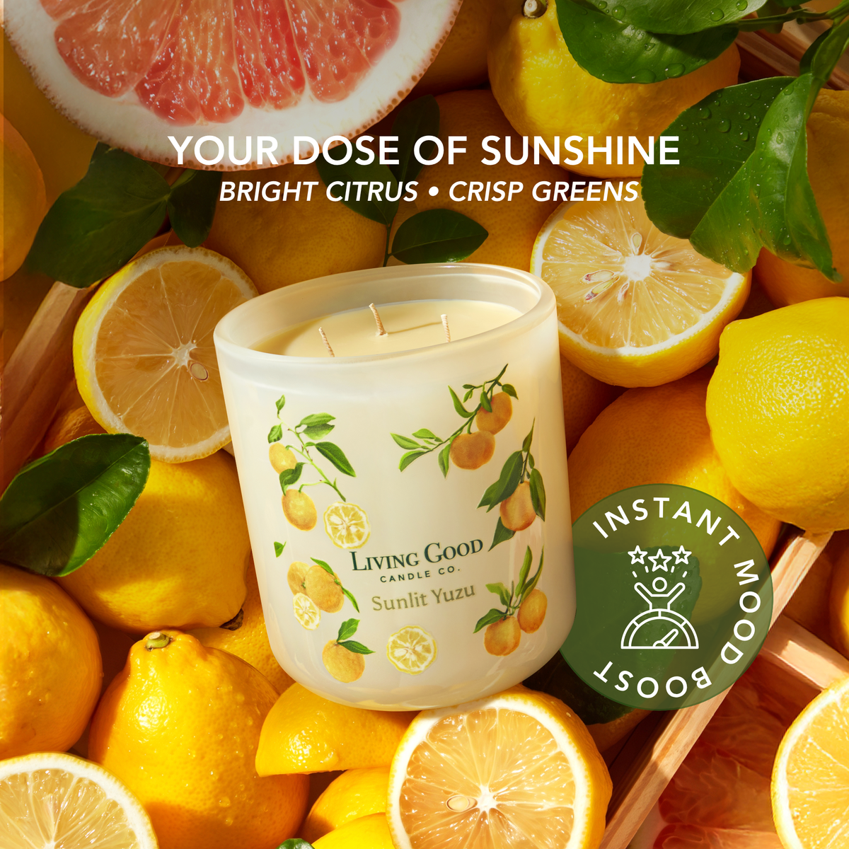 Living Good Candle Co. Sunlit Yuzu 15 oz beeswax candle surrounded by fresh citrus with bright, refreshing scent and instant mood-boosting appeal.