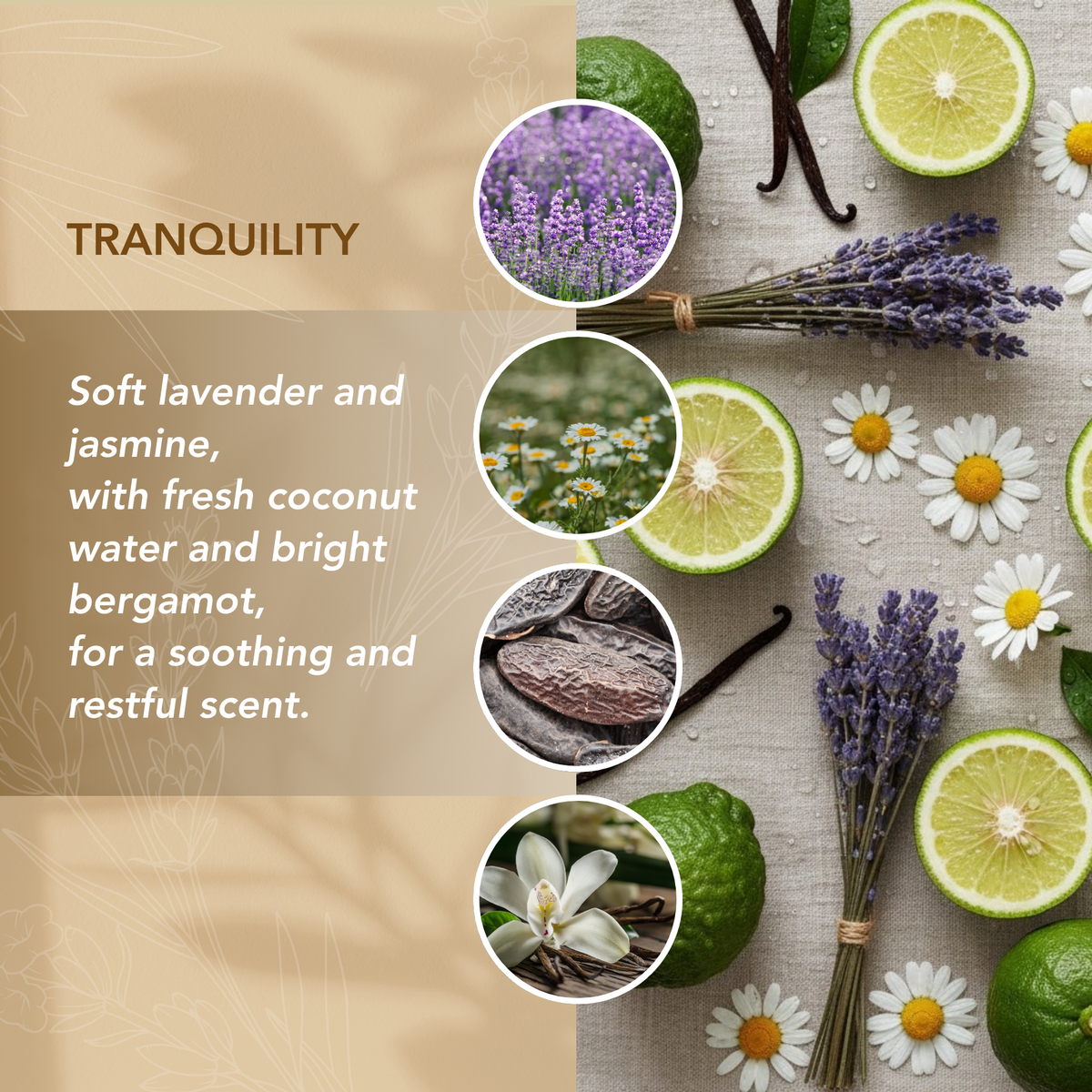 Tranquility candle scent profile featuring lavender, jasmine, coconut water, bergamot, and vanilla